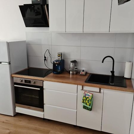 Apartament De Luxe Emily Jelenia Gora Dış mekan fotoğraf